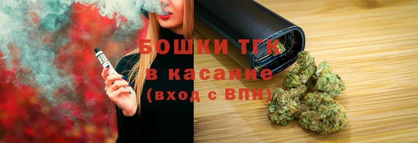 эйфоретик Ельня