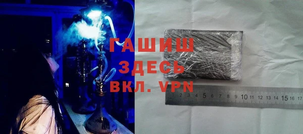 мдпв Елабуга