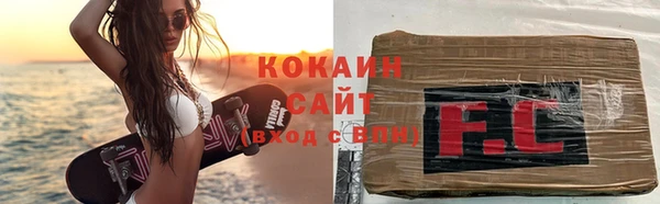 мдпв Елабуга