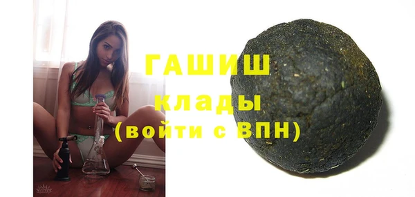 мдпв Елабуга