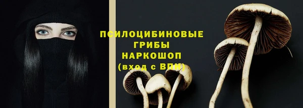 мдпв Елабуга