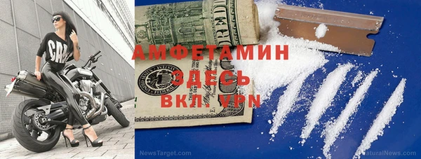 эйфоретик Ельня