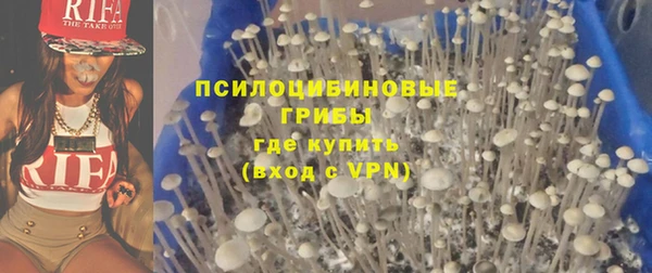 мдпв Елабуга