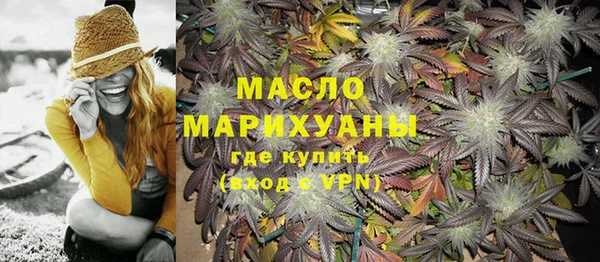 мдпв Елабуга